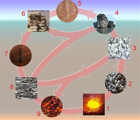 What Is The Rock Cycle: Definition, Diagram, And Examples | Science Trends