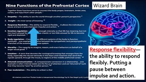 Series #3 The 9 Functions of the Prefrontal Cortex in Interpersonal ...