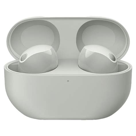 Sony WF-1000XM5 Wf Xm5, Truly Wireless Noise Cancelling Earbuds, Clear Bluetooth Signal ...