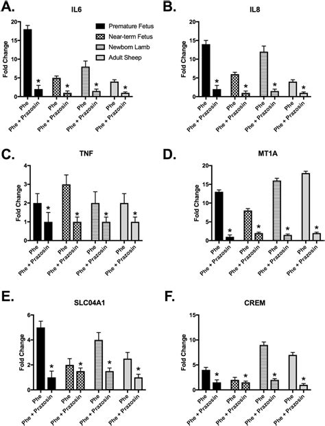 Bar graphs demonstrating mRNA expression of upregulated genes by ...