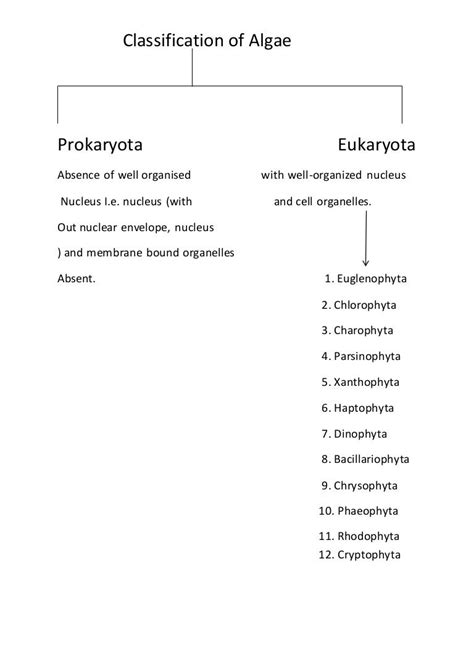 Types Of Algae Chart