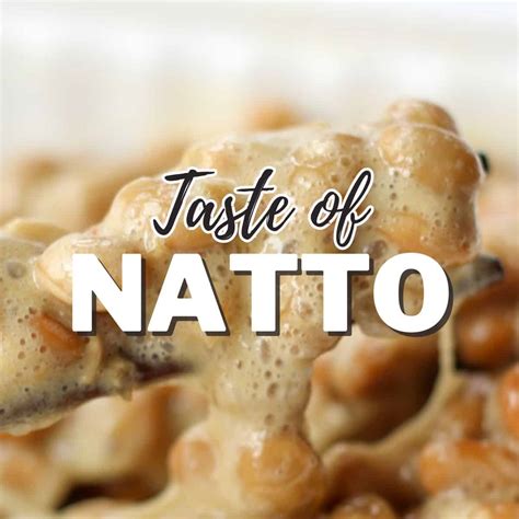 What Does Natto Taste Like? Tips for Enhancing its Taste - Chef JA Cooks