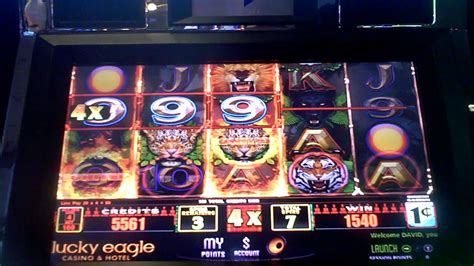 Lion's Share Slot Machine Bonus - YouTube