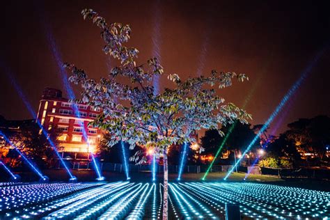 Bute Park's Magical New Light Trail in the City This Christmas