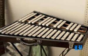 Guide to the Glockenspiel: History, Differences, and Learning Tips