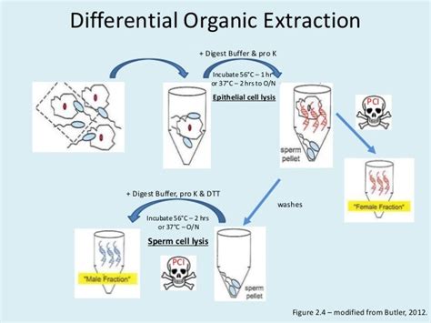 Automate Express to Streamline Differential Extraction process