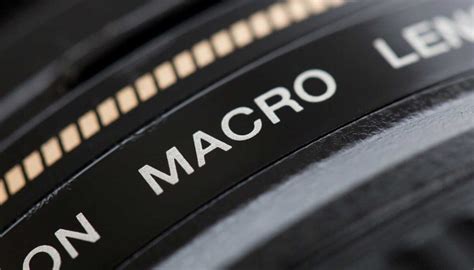 Macro lenses explained: how to buy with confidence - Camera Jabber