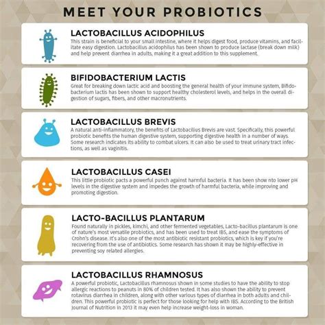 Types of probiotics infographic | Probiotics, Vitamins, Digestive health