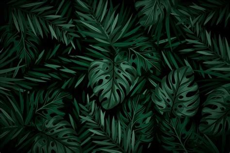 Dark Tropical Leaves Background