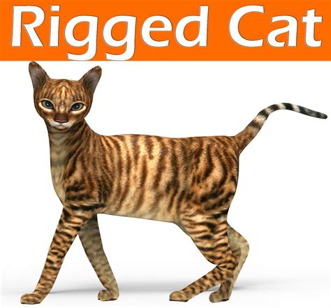 3D Model Cat Rigged - TurboSquid 1198192