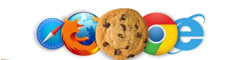 What are Cookies in Your Browser - Ozone Infomedia