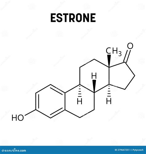 Estrone Structural Formula of Molecular Structure Stock Vector ...