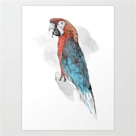 Cuban Macaw Art Print by Jamie Mitchell | Society6