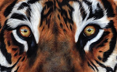 Amur Tiger eyes Painting by Sarah Stribbling - Pixels