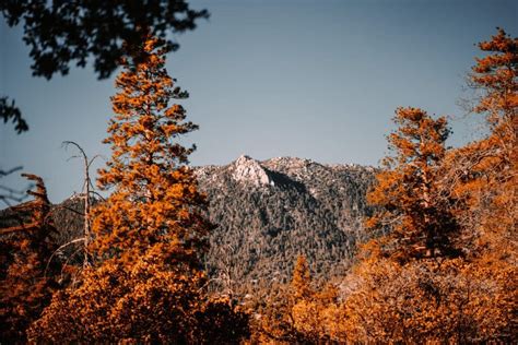 16 Best Idyllwild Hiking Trails For Adventure Enthusiasts