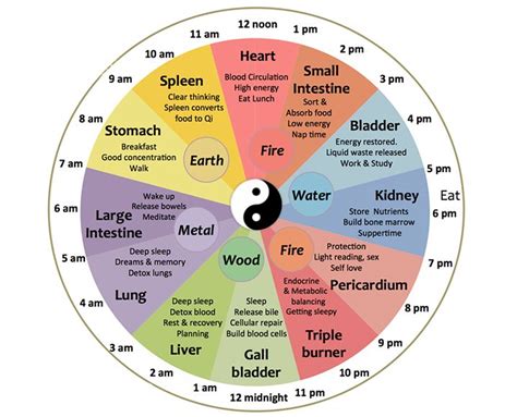 Meet the Chinese Body Clock: Is this Why You're Waking Up at Night ...