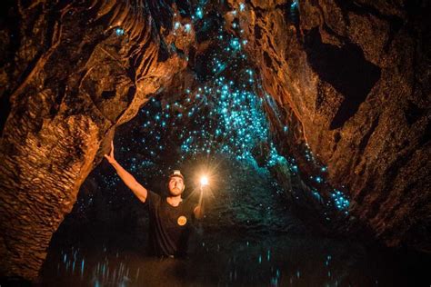 Waitomo Glowworm Caves Attraction