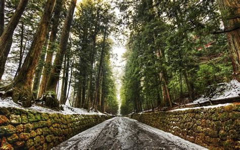 road, Snow, Walls Wallpapers HD / Desktop and Mobile Backgrounds