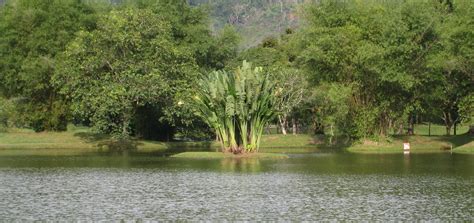 Taiping Lake Gardens, Malaysia