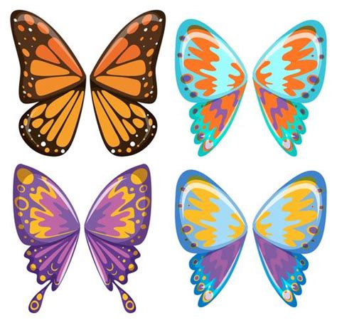 Different pattern of butterfly wings 284535 Vector Art at Vecteezy