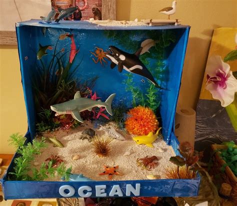 Ocean Diorama | Turtle habitat, Turtle crafts, Diorama kids