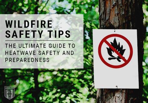 Preventing For Wildfire