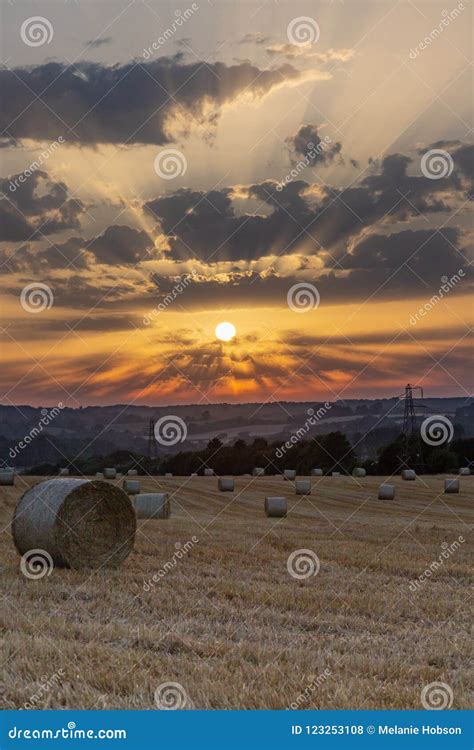 Hay Bales at Sunset stock photo. Image of geography - 123253108