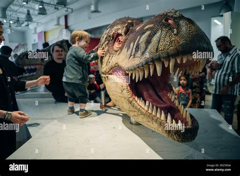 Drumheller, Canada - Mar 2023 Visitors flock to the dinosaur exhibits ...