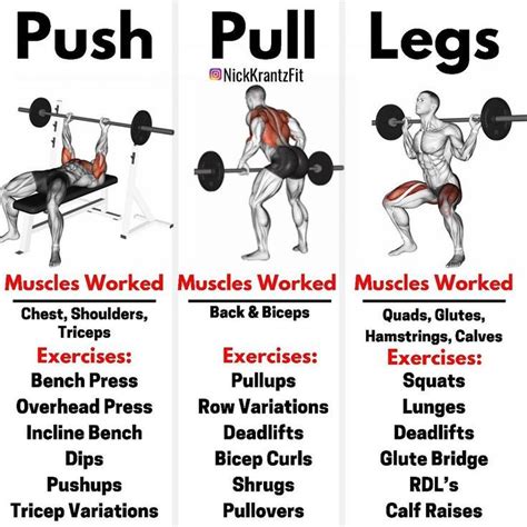 an image of the muscles and their benefits in doing push - pull ...