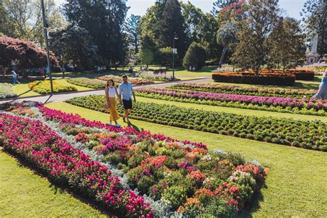 Toowoomba Carnival of Flowers | NeedaBreak