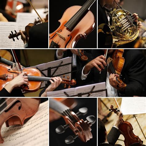 Different Types of Classical Music: An Introduction - CMUSE