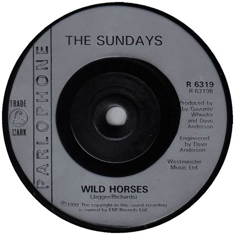 Everything Flows: Wild Horses