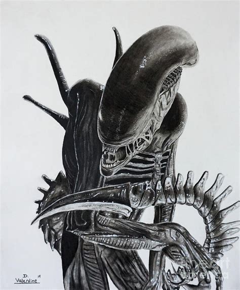 Alien Drawing by Daniel Valentine | Pixels