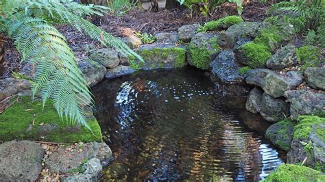 Friends of Geelong Botanic Gardens, Attraction, Geelong & the Bellarine ...