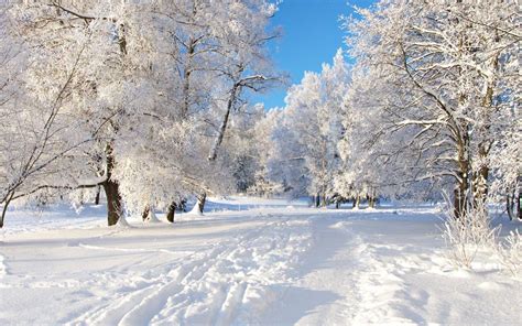 Winter Season Wallpapers - Top Free Winter Season Backgrounds - WallpaperAccess