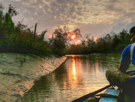 Sundarbans National Park, West Bengal - Trans India Travels