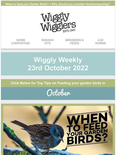 Wiggly Wigglers: When to feed your Garden Birds? | Milled