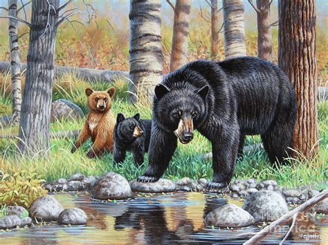 Black Bear Family Painting by Cynthie Fisher