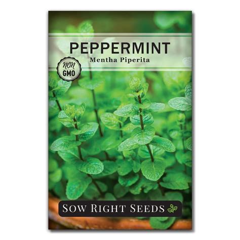 Peppermint Seeds for Planting | Makes a Delicious Herbal Tea – Sow Right Seeds