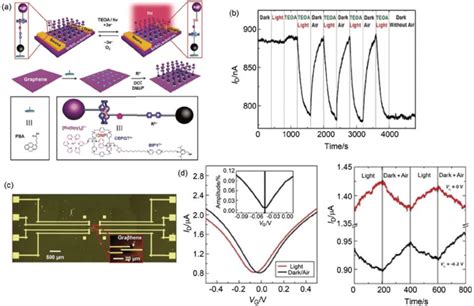 (a) Schematic representation of graphene transistors decorated with ...