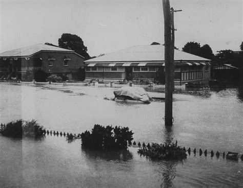 Townsville, Railway Estate during floods, 1946 | Townsville City Council