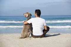 Dog Hemorrhoids Treatment Guide - Does Your Dog Have Hemorrhoids and Need Relief?