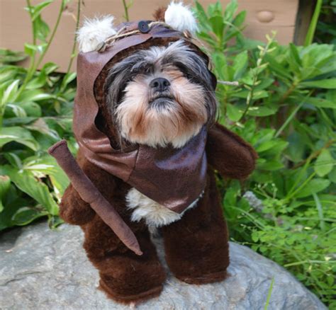 Star Wars Ewok Dog Costume