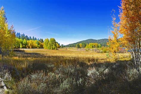 Guide to Lake Tahoe Fall Colors • Lake Tahoe Guide