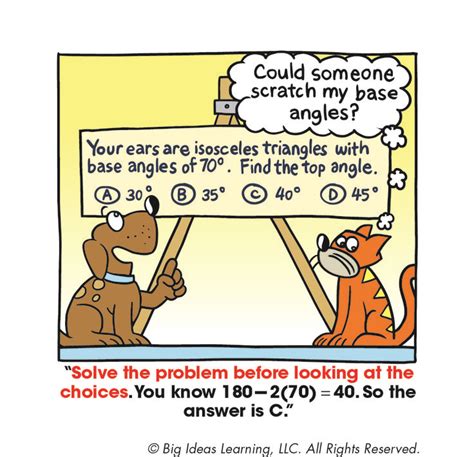 113 best images about Big Ideas Math Cartoons on Pinterest | Equation ...