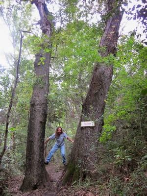 Oak Cliff Nature Preserve - 15 Photos - Parks - Oak Cliff - Dallas, TX - Reviews - Yelp