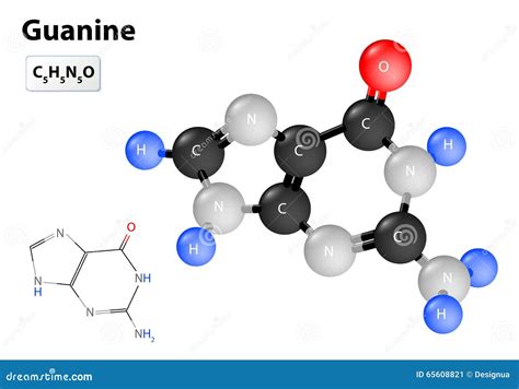 Guanine Molecule Stock Illustration - Image: 65608821