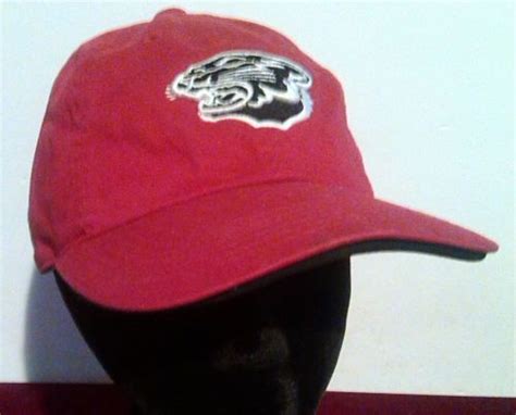 Sell Arctic Cat Team Arctic Wildcat Logo Arcticwear Red Baseball Cap Hat in Winchester, New ...