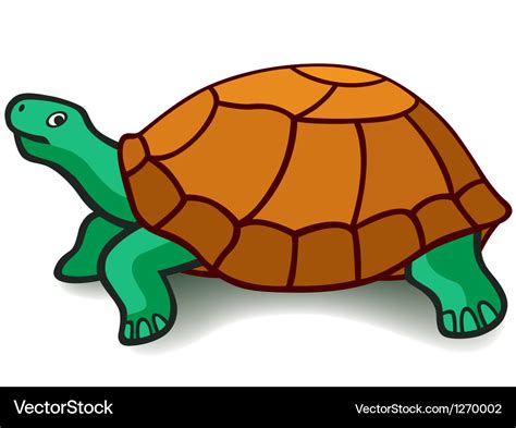 Turtle Royalty Free Vector Image - VectorStock