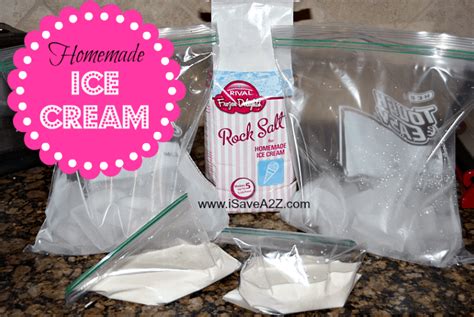 Homemade Ice Cream in a Bag - iSaveA2Z.com